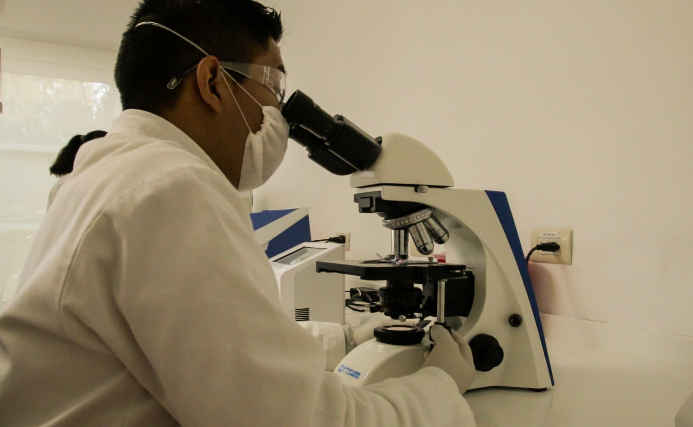 Scientist working in chemistry laboratory, examining samples at laboratory