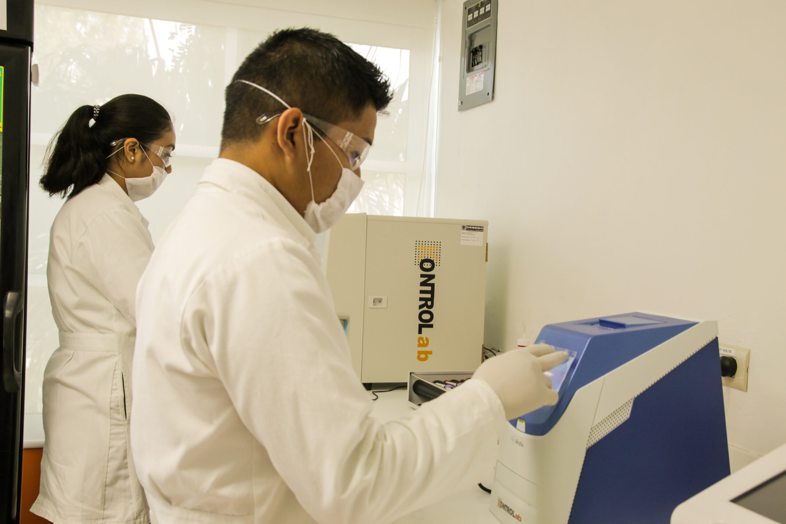 Scientist working in chemistry laboratory, examining samples at laboratory